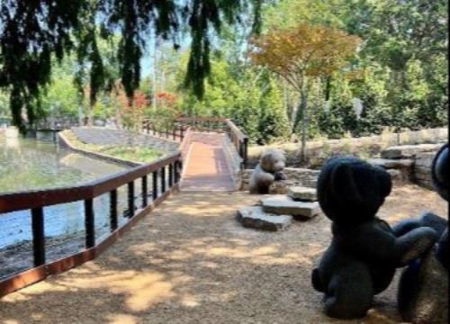 photo of large teddy bear statues with a bridge in the background and new shubbery to the side space