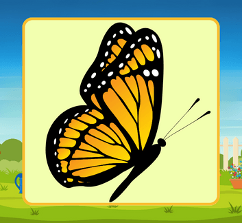 Butterflies, Bugs, Botany