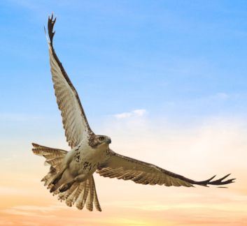 Youth Newsflashes 23-24 (2)